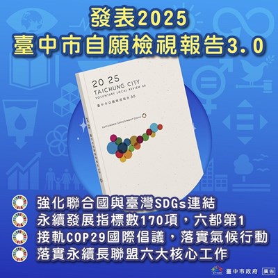 本市自願檢視報告VLR3.0圖卡